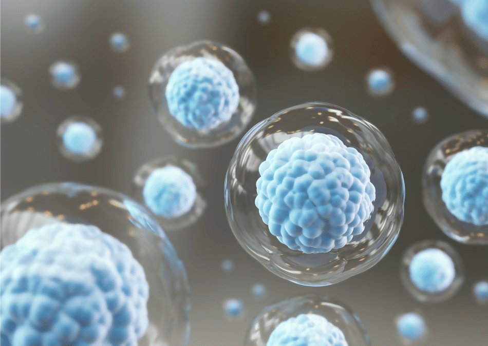 Stem cells play a starring role in healing